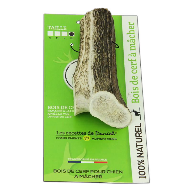 Bois de cerf pour chien