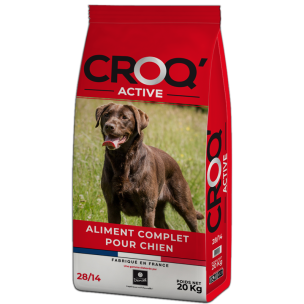 Croquettes CROQ'ACTIVE - 20 kg