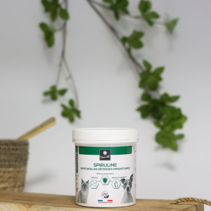 Spiruline - 200 g