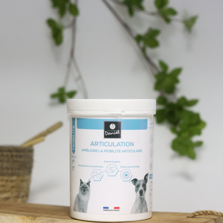 Articulation -  600 g