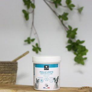 Moule verte - 400g