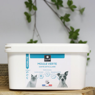 Moule verte - 2,8 kg