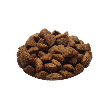 Croquettes CROQ'ACTIVE - 20 kg