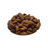 Croquettes CROQ'ACTIVE - 20 kg