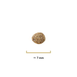 Croquettes Originelle chat stérilisé poulet sans céréales - 2,5 kg