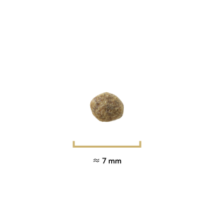 Croquettes Originelle chat stérilisé saumon sans céréales - 2,5 kg