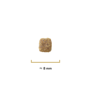 Croquettes Essentielle chat stérilisé saumon - 400g