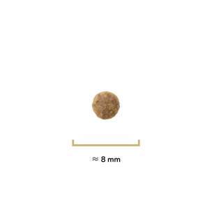 Croquettes Essentielle chat sénior stérilisé 7+ poulet - 10 kg