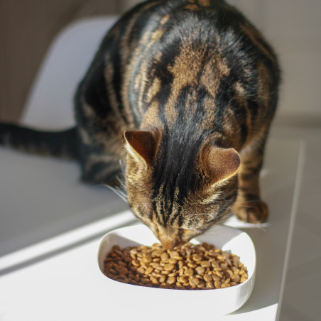 Croquettes Essentielle chat sénior stérilisé 7+ poulet - 10 kg