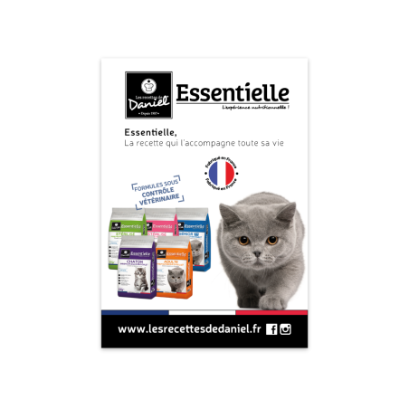 Flyer Essentielle Chat A5