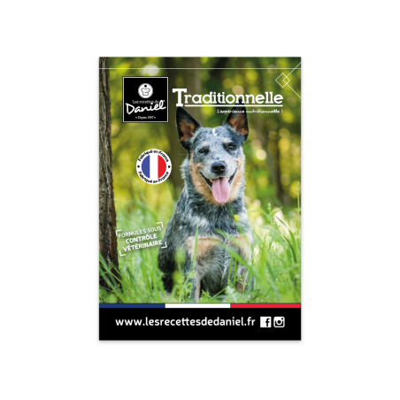Flyer Traditionnelle Chien A5