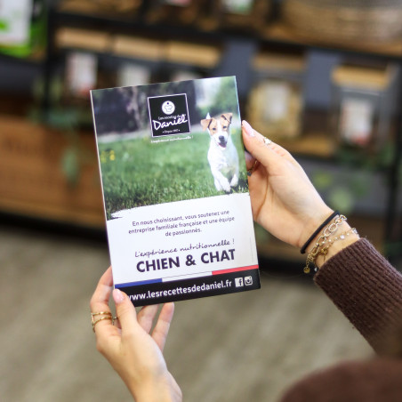Flyer Traditionnelle Chien A5