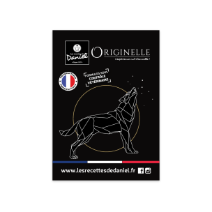 Flyer Originelle Chien A5