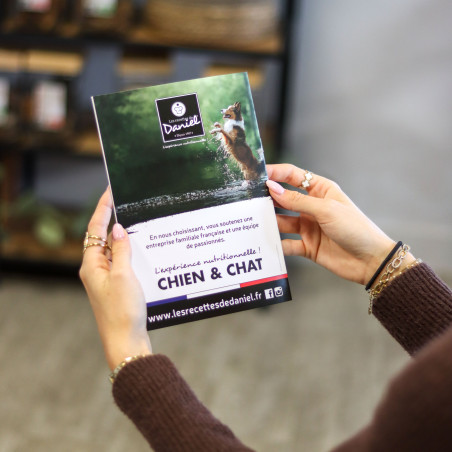 Flyer Originelle Chien A5