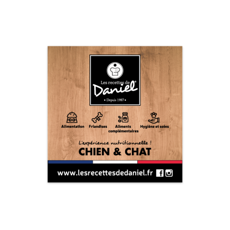 Flyer les recettes de daniel