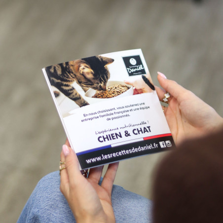 Flyer les recettes de daniel