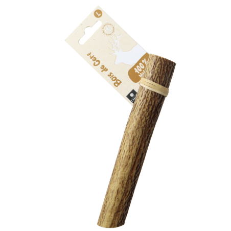 Bois de cerf entier - taille L