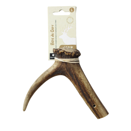 Bois de cerf entier - taille L