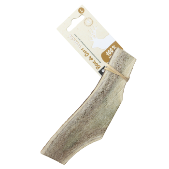 Bois de cerf tranché - taille L