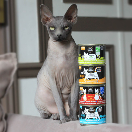 Mousse à la St Jacques 200g - Humide "Petite balade"