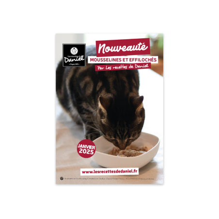Flyer nouveautés Humide chien et chat