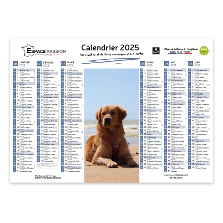 Calendrier A3 2025 - Les recettes de Daniel