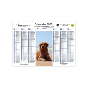 Calendrier A4 2025 - Les recettes de Daniel
