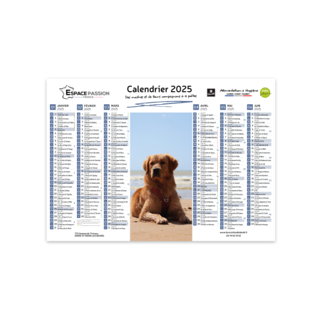 Calendrier A4 2025 - Les recettes de Daniel