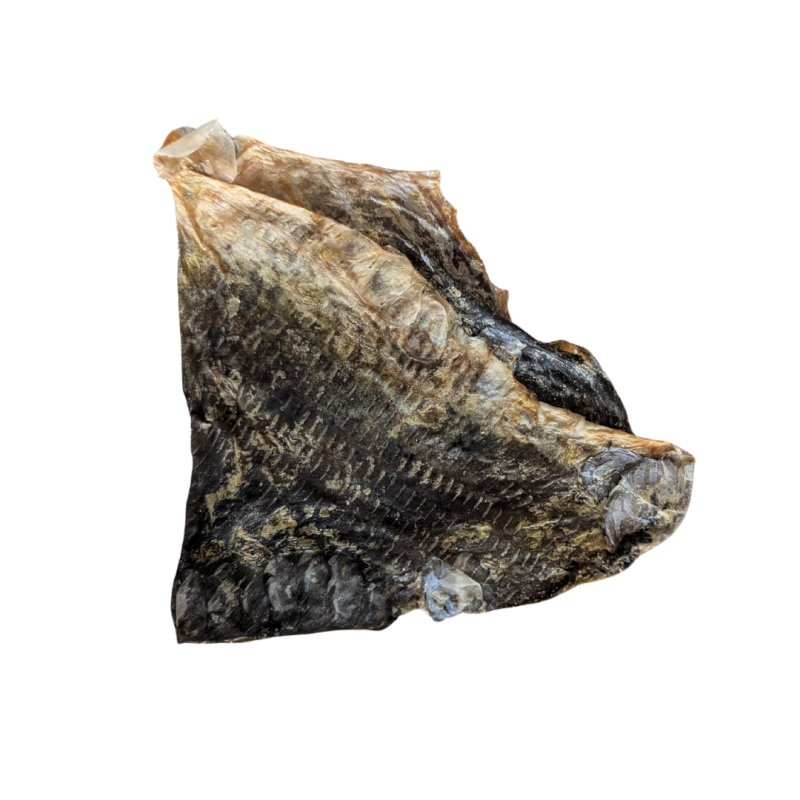 Peau de carpe - 1kg