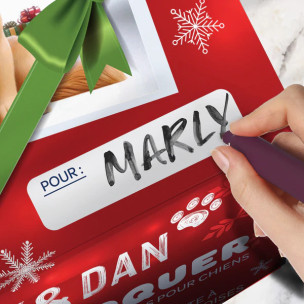 Coffret de Noël chien - Marly & Dan