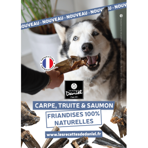 Flyer nouveautés Friandises...