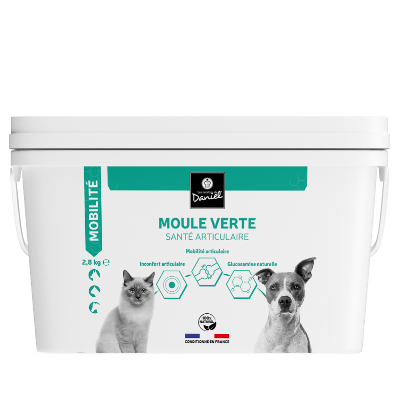 Moule verte - 2,8 kg