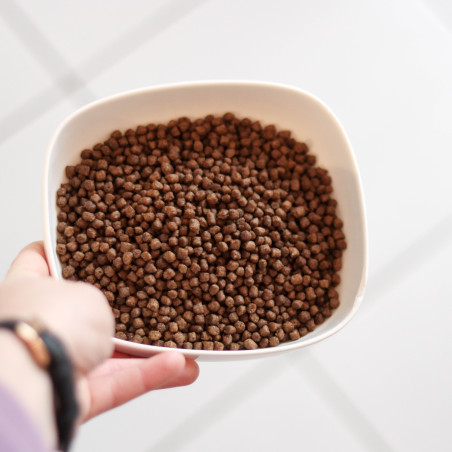 Croquette Essentielle chaton poulet - 400g