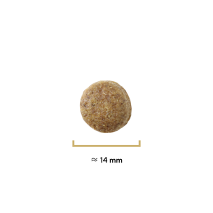 Croquettes Traditionnelle adulte canard - 400g