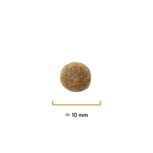 Croquettes Traditionnelle...