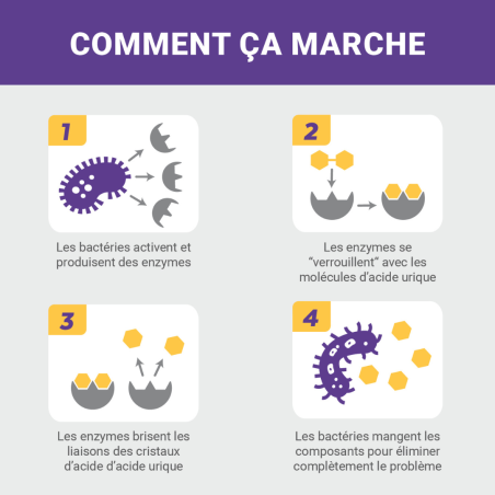 Destructeur d'urine pour chat et chaton recharge 3,78L - Urine off