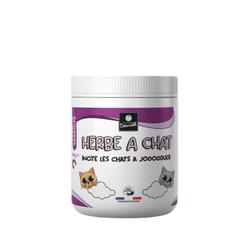 Herbe à chat naturelle
