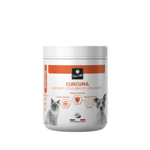 Rdd curcuma 100g