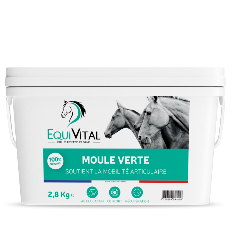 EquiVital Moule verte - 2,8 Kg