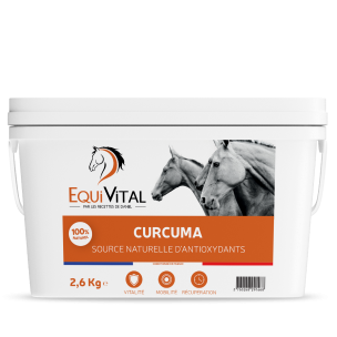 EquiVital Curcuma - 2,6 Kg