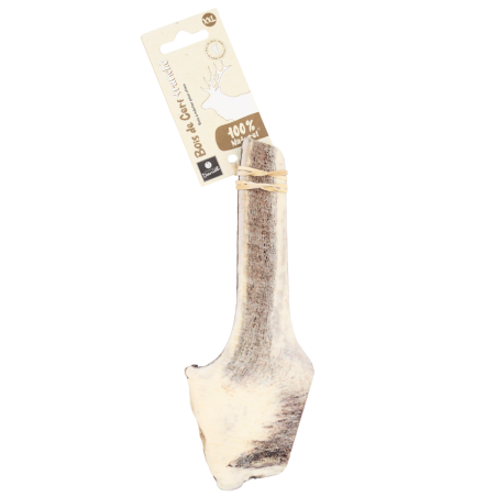 Bois de cerf tranché - taille XXL