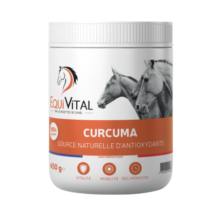 EquiVital Curcuma - 650 g