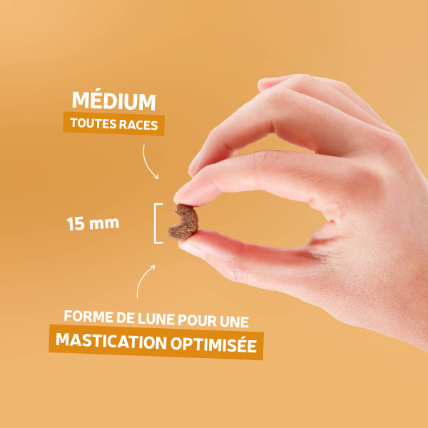 Croquettes Essentielle adulte volaille - 14 kg