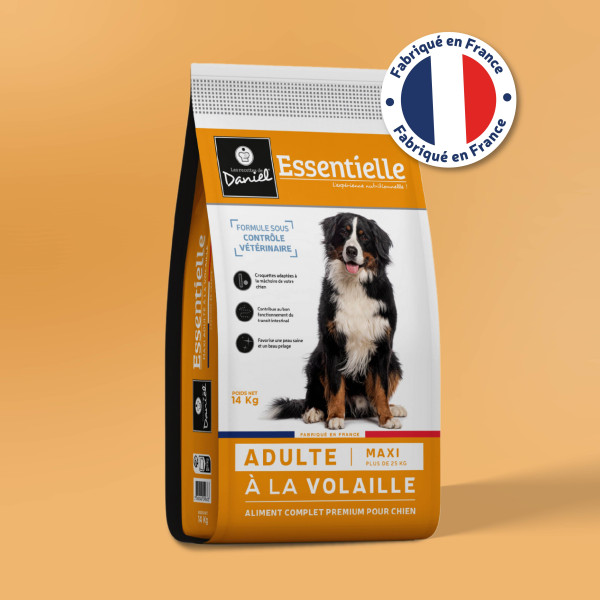 Croquettes Essentielle maxi adulte - 14 kg