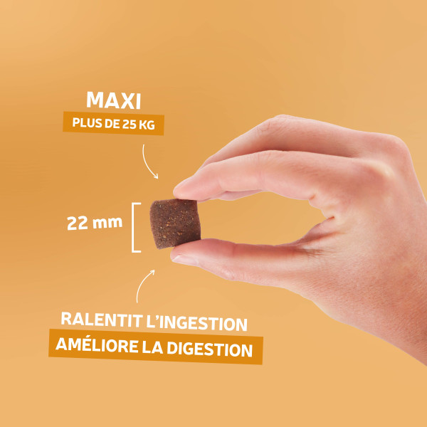 Croquettes Essentielle maxi adulte - 14 kg