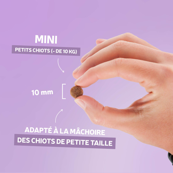 Croquettes Essentielle mini croissance volaille - 4 kg