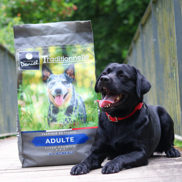 Croquettes Traditionnelle adulte agneau - 14 kg