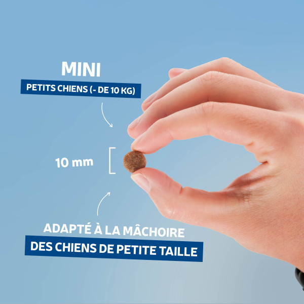 Croquettes Traditionnelle mini adulte agneau - 4 kg