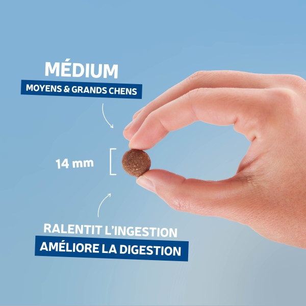 Croquettes Traditionnelle adulte agneau - 400g