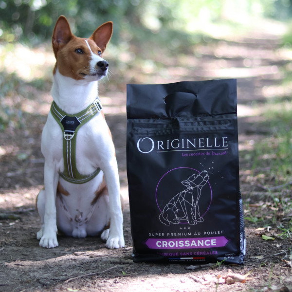 Croquettes Originelle mini croissance poulet sans céréales - 3 kg